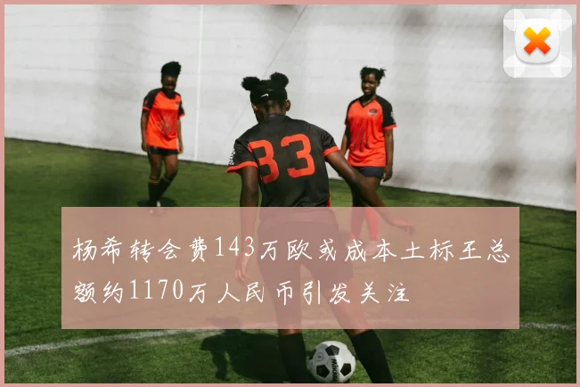 杨希转会费143万欧或成本土标王总额约1170万人民币引发关注