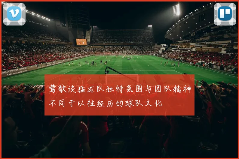 莺歌谈猛龙队独特氛围与团队精神不同于以往经历的球队文化